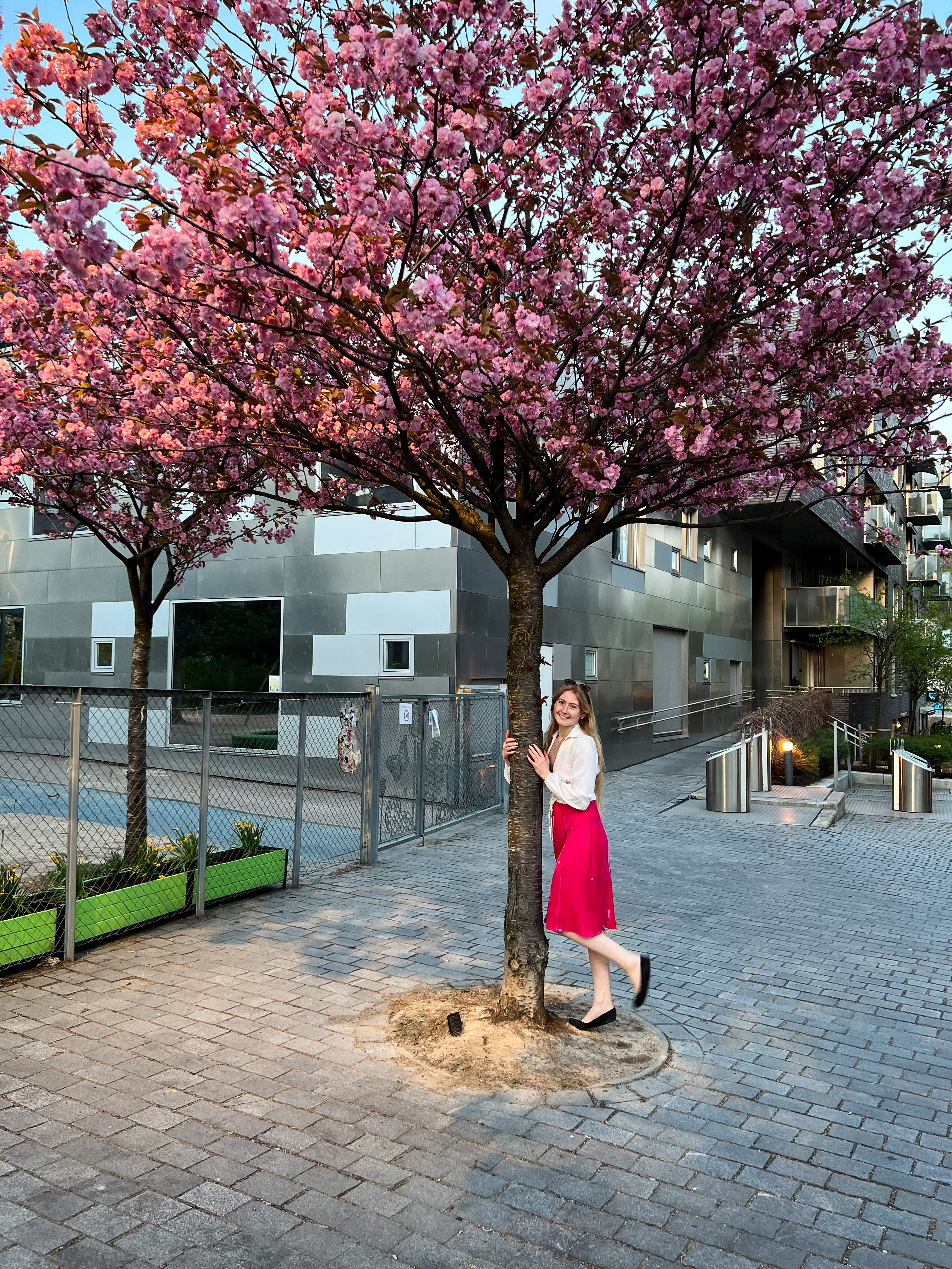 Girl by a pink blossomed tree