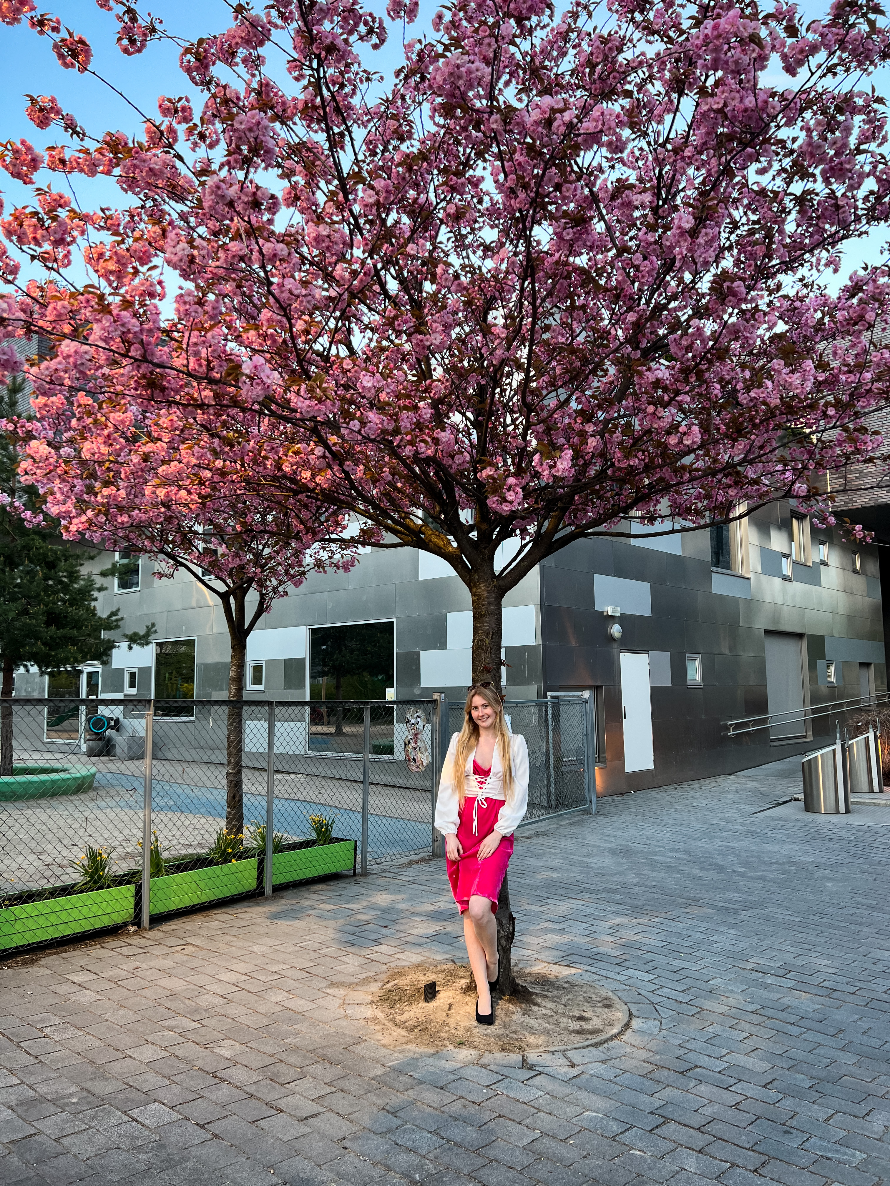 Girl by a pink blossomed tree